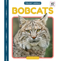 Bobcats