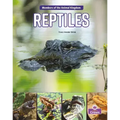 Reptiles