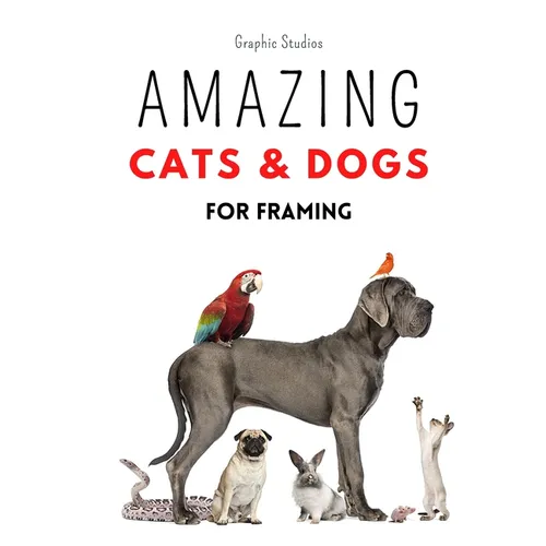 Amazing Cats and Dogs for Framing: Amazing pet photos, funny dogs and cats to frame