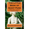 The Little Book of Giant Puns: Bring Big Laughs Everywhere