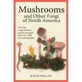 Mushrooms and Other Fungi of North America