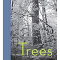The Power of Trees