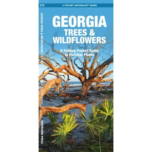 Georgia Trees & Wildflowers: A Folding Pocket Guide to Familiar Plants