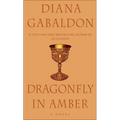 Dragonfly in Amber