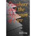 Panthers and the Museum of Fire
