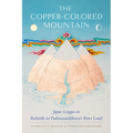 The Copper-Colored Mountain: Jigme Lingpa on Rebirth in Padmasambhava's Pure Land