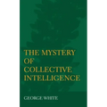The Mystery of Collective Intelligence