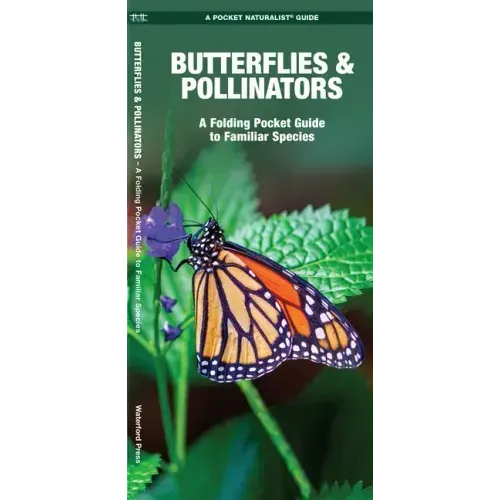 Butterflies & Pollinators: A Folding Pocket Guide to Familiar Species