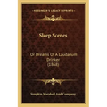 Sleep Scenes: Or Dreams of a Laudanum Drinker (1868)