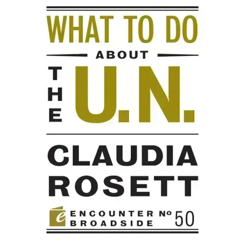 What to Do about the U.N.