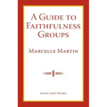 A Guide To Faithfulness Groups
