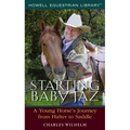 Starting Baby JAZ: A Young Horse's Journey from Halter to Saddle
