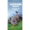 Louisiana Wildlife: A Folding Pocket Guide to Familiar Animals