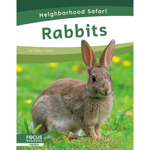Rabbits