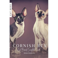Cornish Rex: Cat Breed Complete Guide
