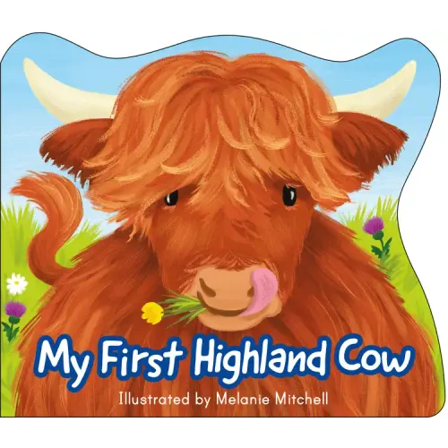 My First Highland Cow
