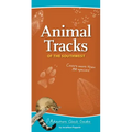 Animal Tracks of the Southwest: Your Way to Easily Identify Animal Tracks