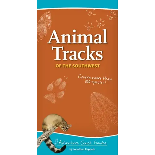 Animal Tracks of the Southwest: Your Way to Easily Identify Animal Tracks