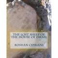 The Lost Sheep Of The House Of Israel