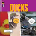 Ducks