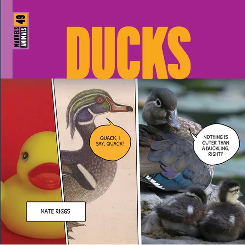 Ducks