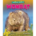 Wombat