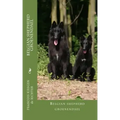 belgian shepherd groenendael
