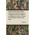 Animal Tracks of the Fields and Forests of North America - A Helpful Guide for Children and Beginners with an Interest in Tracking for Pleasure and Sp
