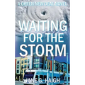 Waiting for the Storm: A Green New Deal Novel