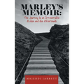 Marley's Memoir: the Journey to an Irreversible Action and the Aftermath