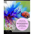 Wonderful Ladybugs and Flowers Book 1: Grayscale coloring books for adults Relaxation (Adult Coloring Books Series, grayscale fantasy coloring books)