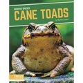 Cane Toads
