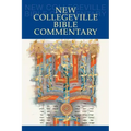 New Collegeville Bible Commentary: One Volume Hardcover Edition