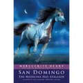 San Domingo: The Medicine Hat Stallion