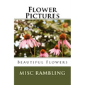 Flower Pictures: Flowers Photos