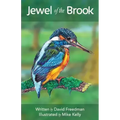 Jewel of the Brook: The Kingfisher's Tale