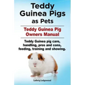 Teddy Guinea Pigs as Pets. Teddy Guinea Pig Owners Manual. Teddy Guinea pig care, handling, pros and cons, feeding, training and showing.