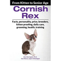 Cornish Rex: From Kitten to Senior Age