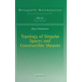 Topology of Singular Spaces and Constructible Sheaves