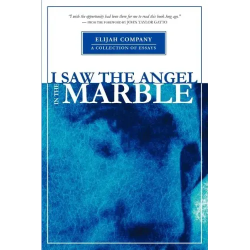 I Saw the Angel in the Marble