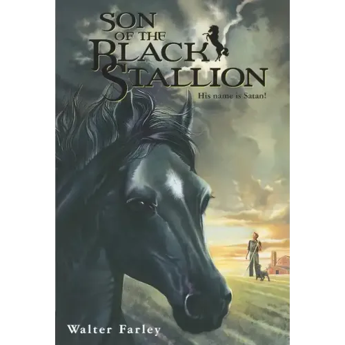 Son of the Black Stallion