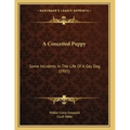 A Conceited Puppy: Some Incidents In The Life Of A Gay Dog (1905)