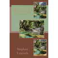 Frenzied Fiction