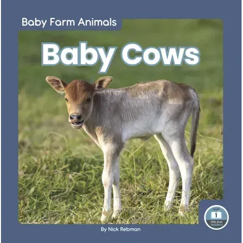Baby Cows