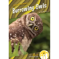 Burrowing Owls