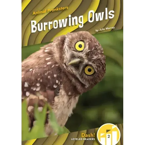 Burrowing Owls