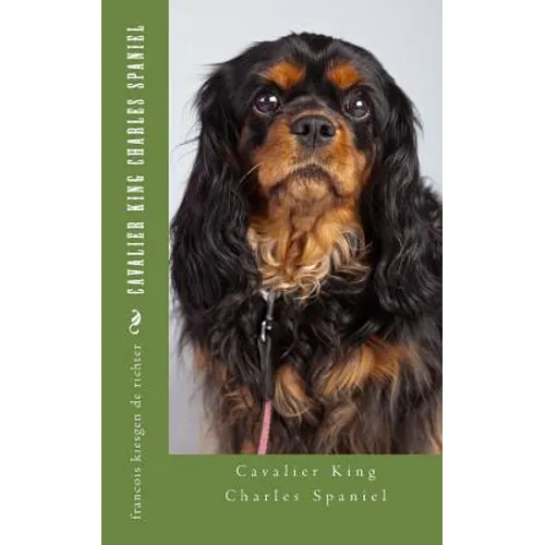 Cavalier King Charles Spaniel
