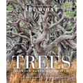 Trees (Gift Edition): Between Earth and Heaven