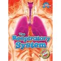 The Respiratory System