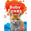 Baby Foxes